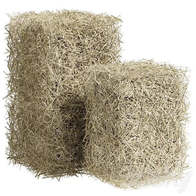 Bales of hay 3DS Max Model