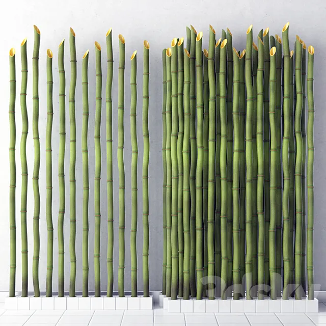 Bamboo decor 3DSMax File