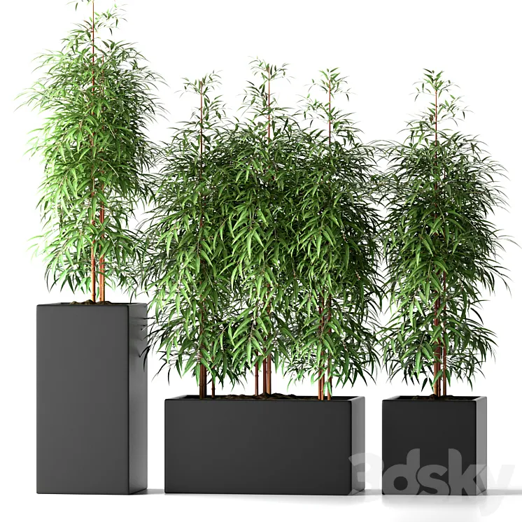 BAMBOO PLANTS 20 3DS Max