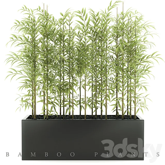 BAMBOO PLANTS 49 3DSMax File
