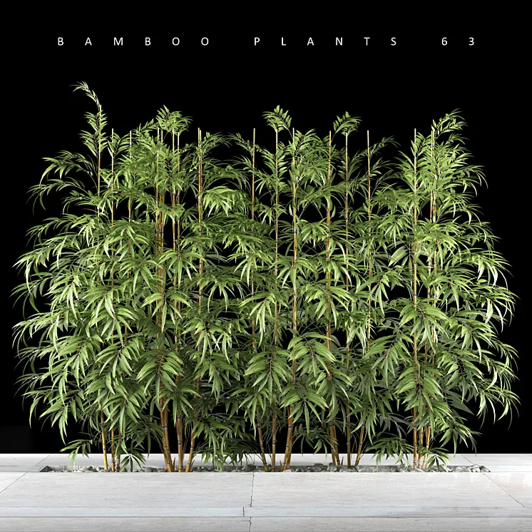 BAMBOO PLANTS 63 3DS Max