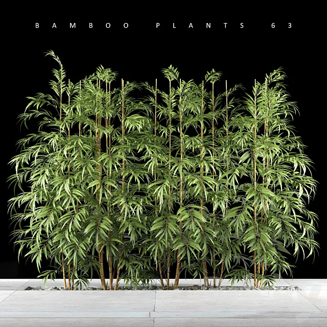 BAMBOO PLANTS 63 3DSMax File