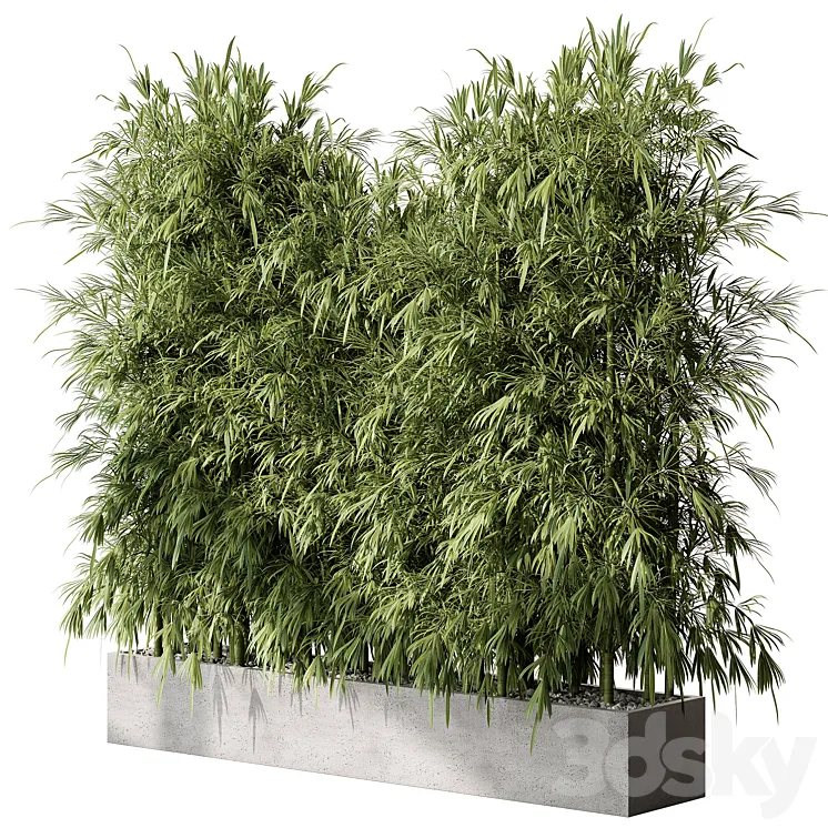 Bamboo Plants – Outdoor Plants 468 3DS Max Model