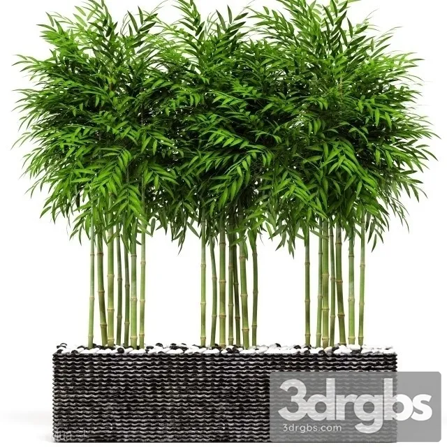 Bamboo Rectang Pot 3dsmax Download