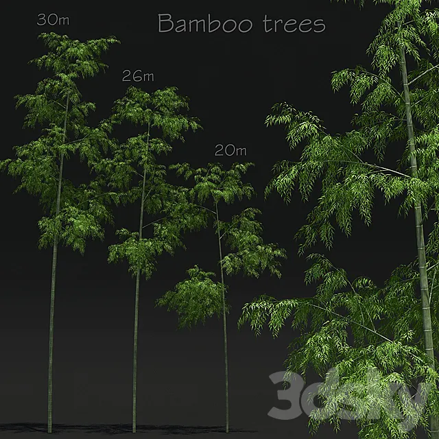 Bamboo Trees 3DSMax File