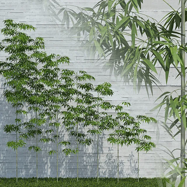 Bamboo Trees for scatter 3ds Max