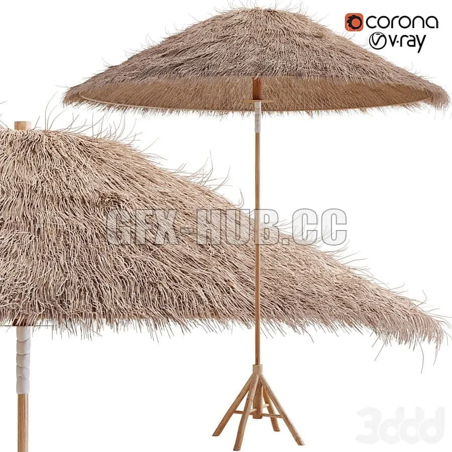 Bamboo Umbrella with Banana Leaf 3dsMax Model