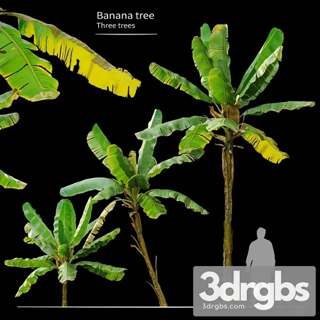 Banana Tree 6 3dsmax Download
