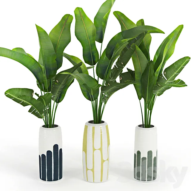 Banana_Palm_Striped_Tall_Vase 3DSMax File