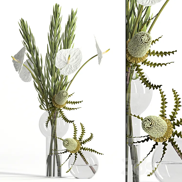 Banksia anthurium and Leucadendron 3DS Max
