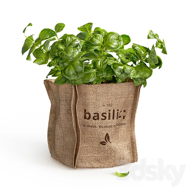 Basil in burlap (microgreens) 3ds Max