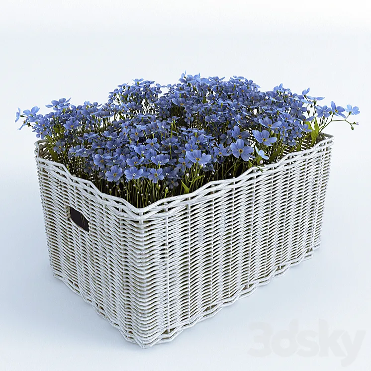 Basket with Forget-Me 3DS Max
