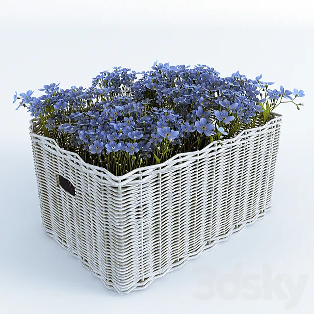 Basket with Forget-Me 3DSMax File