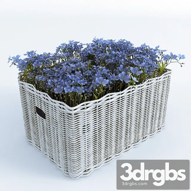 Basket With Forget Me Nots 3dsmax Download