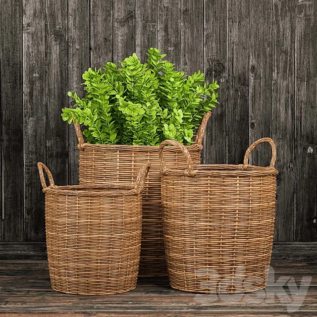 Basket with plants 3DS Max Model