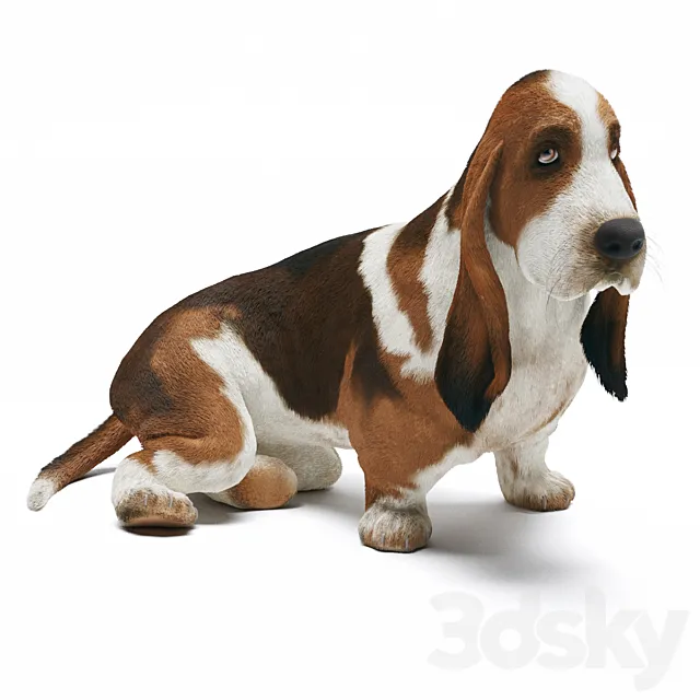 Basset Hound 3ds Max