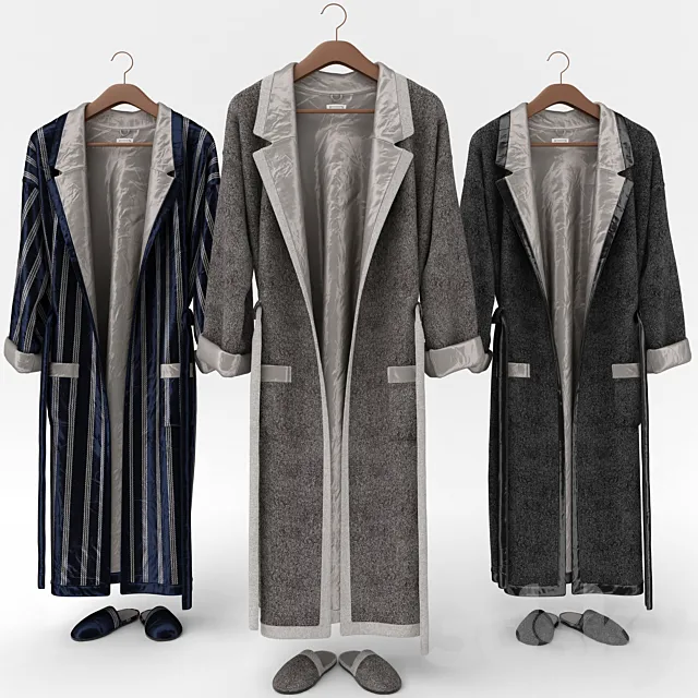 Bathrobe 3DS Max Model