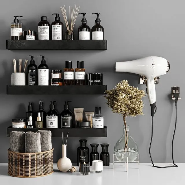 Bathroom accessories 39 with hair dryer 3dsMax Model