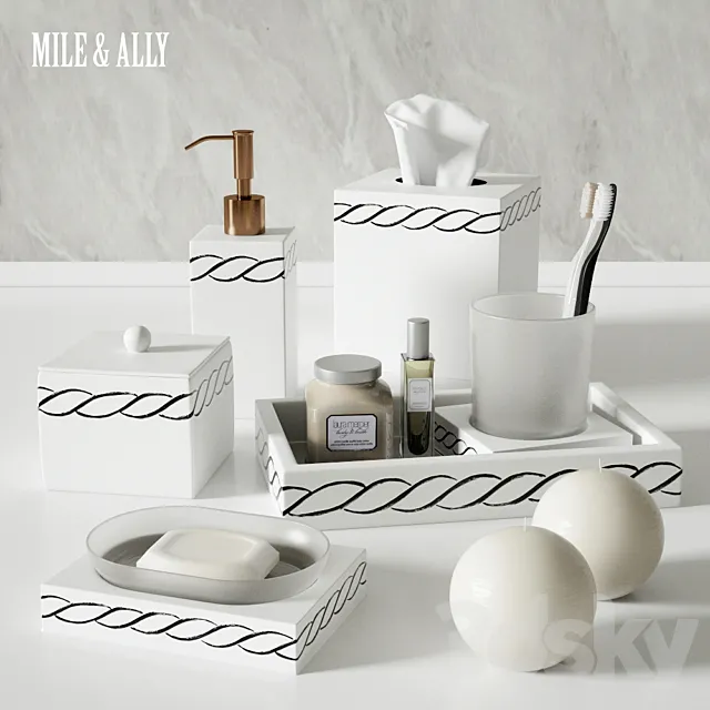 Bathroom Mike & Ally 3DS Max Model