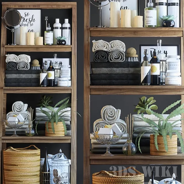 bathroom – Shelving in the bathroom with plants 3ds Max