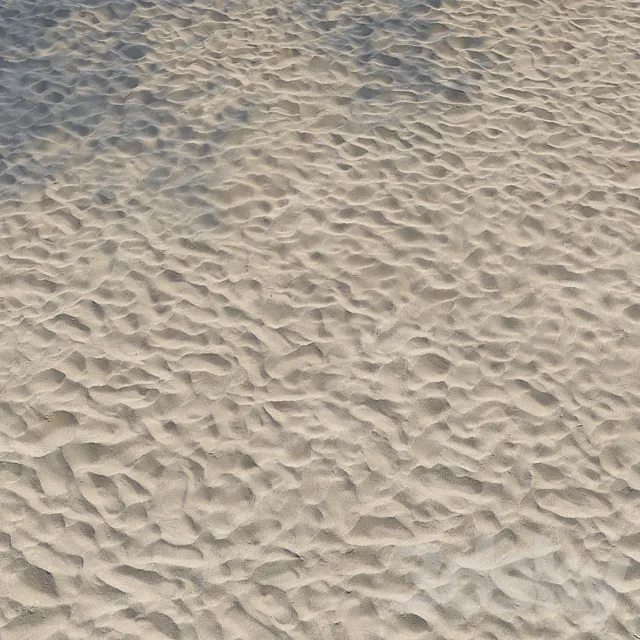 Beach sand 3DS Max Model