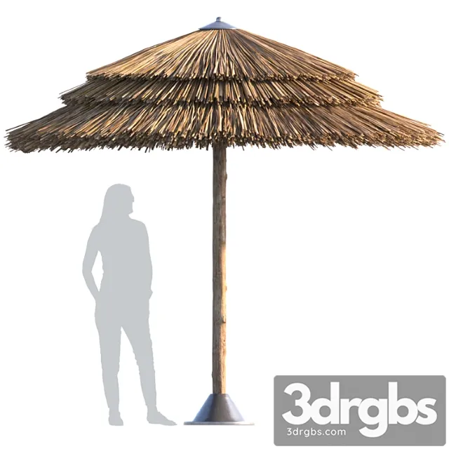 Beach umbrella 3dsmax Download