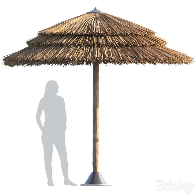 Beach umbrella 3dsMax Model