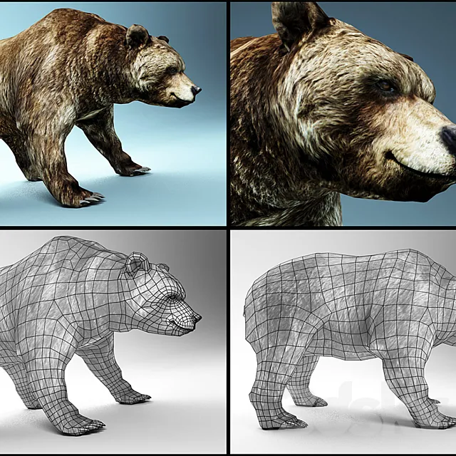 bear 3ds Max