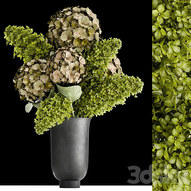 Beautiful modern bouquet of green flowers in a black vase with Hydrangea green Lilac. 169 3DS Max