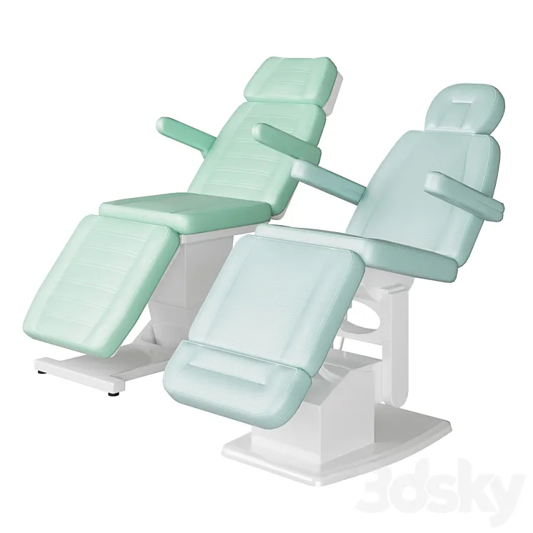 beauty chairs 3DS Max Model