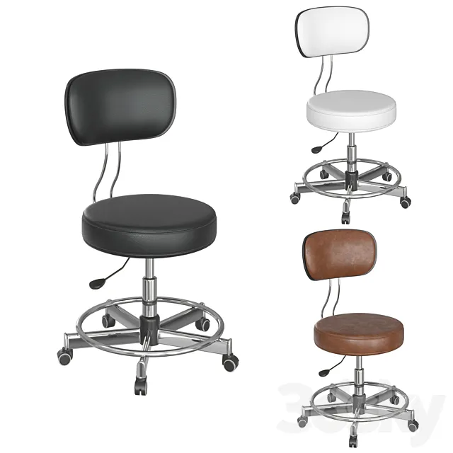 Beauty Master Chair 3DS Max Model