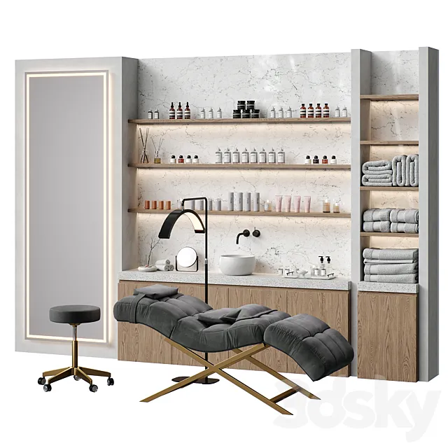 Beauty salon with couch and accessories \ Figuratti P03 3ds Max