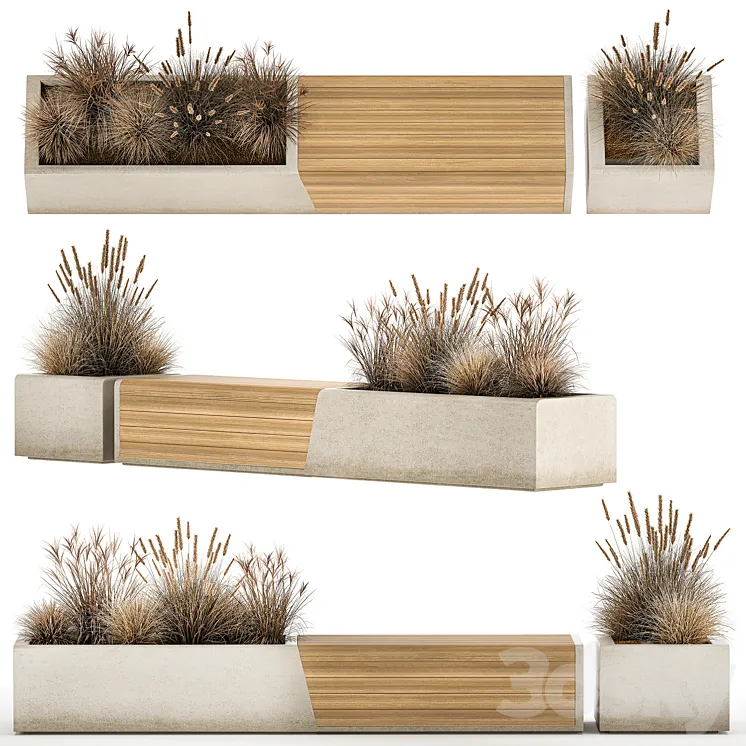 Bench flowerbed for the urban environment in a concrete flowerpot with bushes of reeds and dried flowers dry grass. 1142. 3DS Max