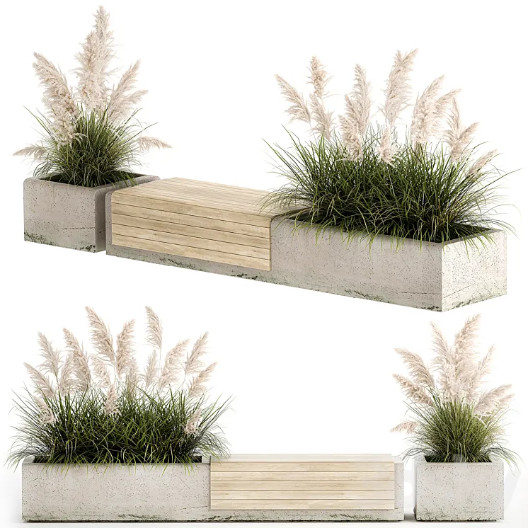 Bench flowerbed for the urban environment in a concrete flowerpot with bushes of reeds and pampas grass Cortaderia. 1144. 3DS Max