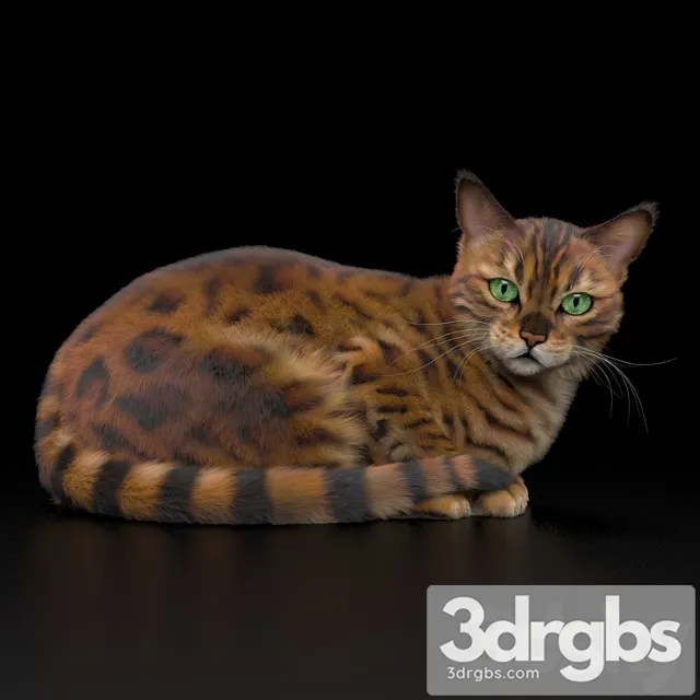 Bengal Cat 3dsmax Download