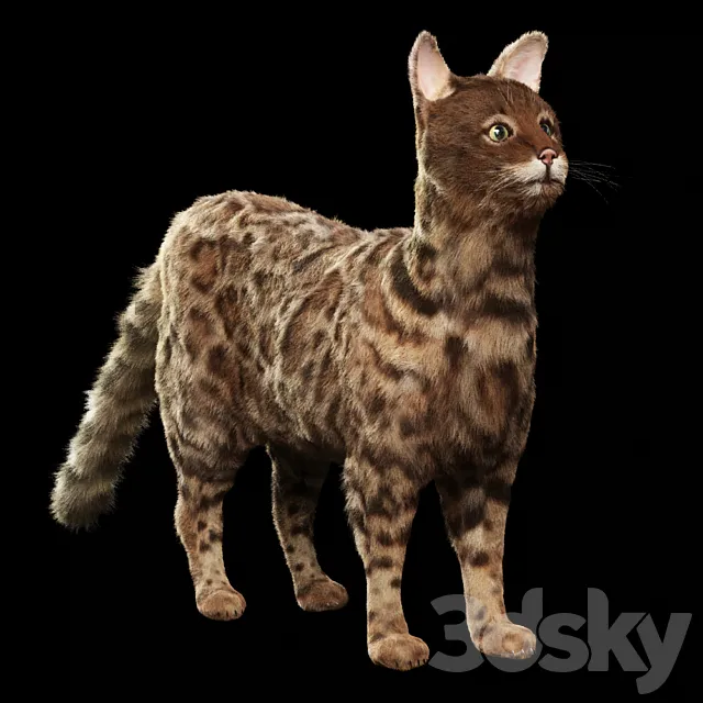 Bengal cat 3DS Max Model