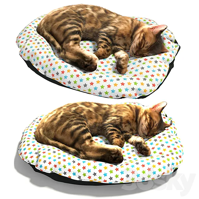 Bengal kitten 3ds Max