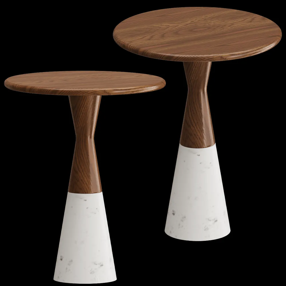 Bergenson Bjorn – Coffee table Ashil 3ds Max