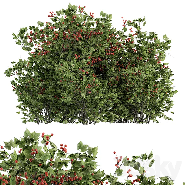 Berry Bush – Bush Set 17 3ds Max