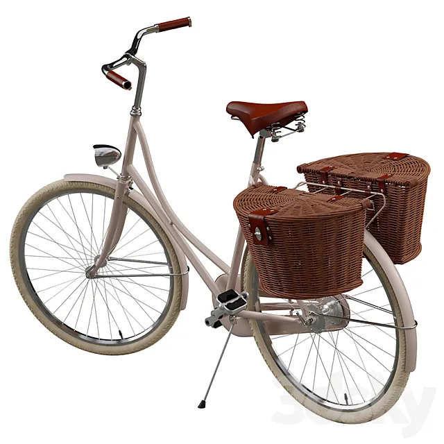 Bicycle for a Lady in two versions 3DS Max Model