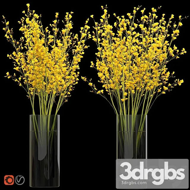 Big Bouquet Orchid Oncidium in a Vase 3dsmax Download