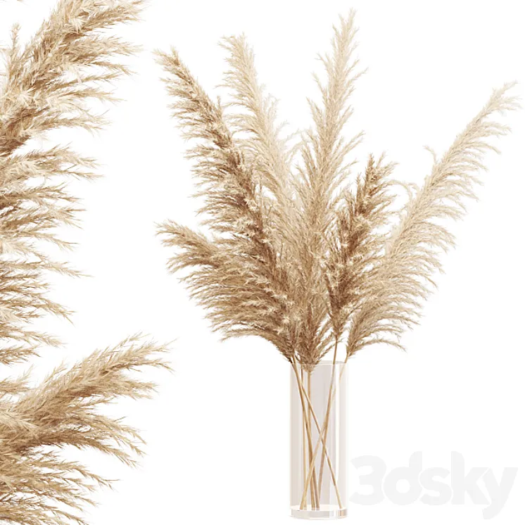 Big dried flower pampas grass in glass vase 3DS Max