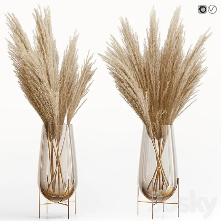 Big dried flower pampas grass in glass vase 5 3DS Max