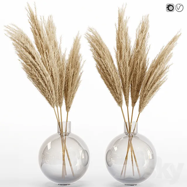 Big dried flower pampas grass in glass vase 6 3DSMax File