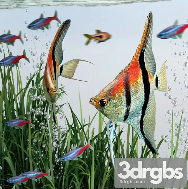 BiOrb 15L Flow Aquarium 3dsmax Download