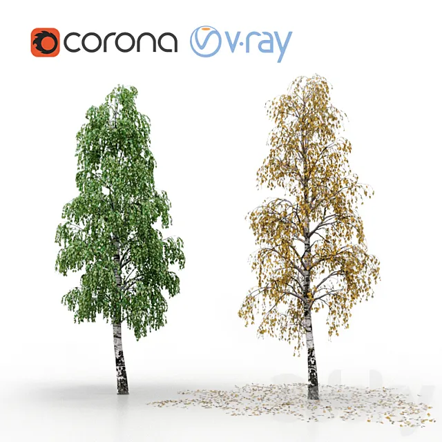 Birch (summer and autumn) 3ds Max