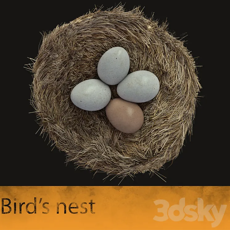 Bird's nest 3DS Max