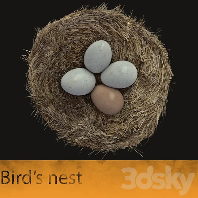 Bird’s nest 3DSMax File