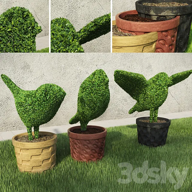 Birds – Shrubs 3ds Max