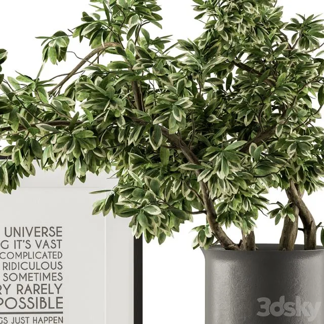 Black and Green Decorative Set with Plants – Set 77 3dsMax Model